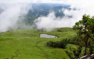 Wayanad Packages