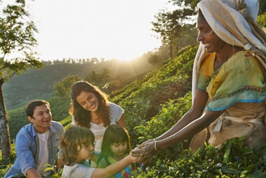 6 NIGHT 7 DAYS FAMILY HOLIDAY PACKAGES IN KERALA